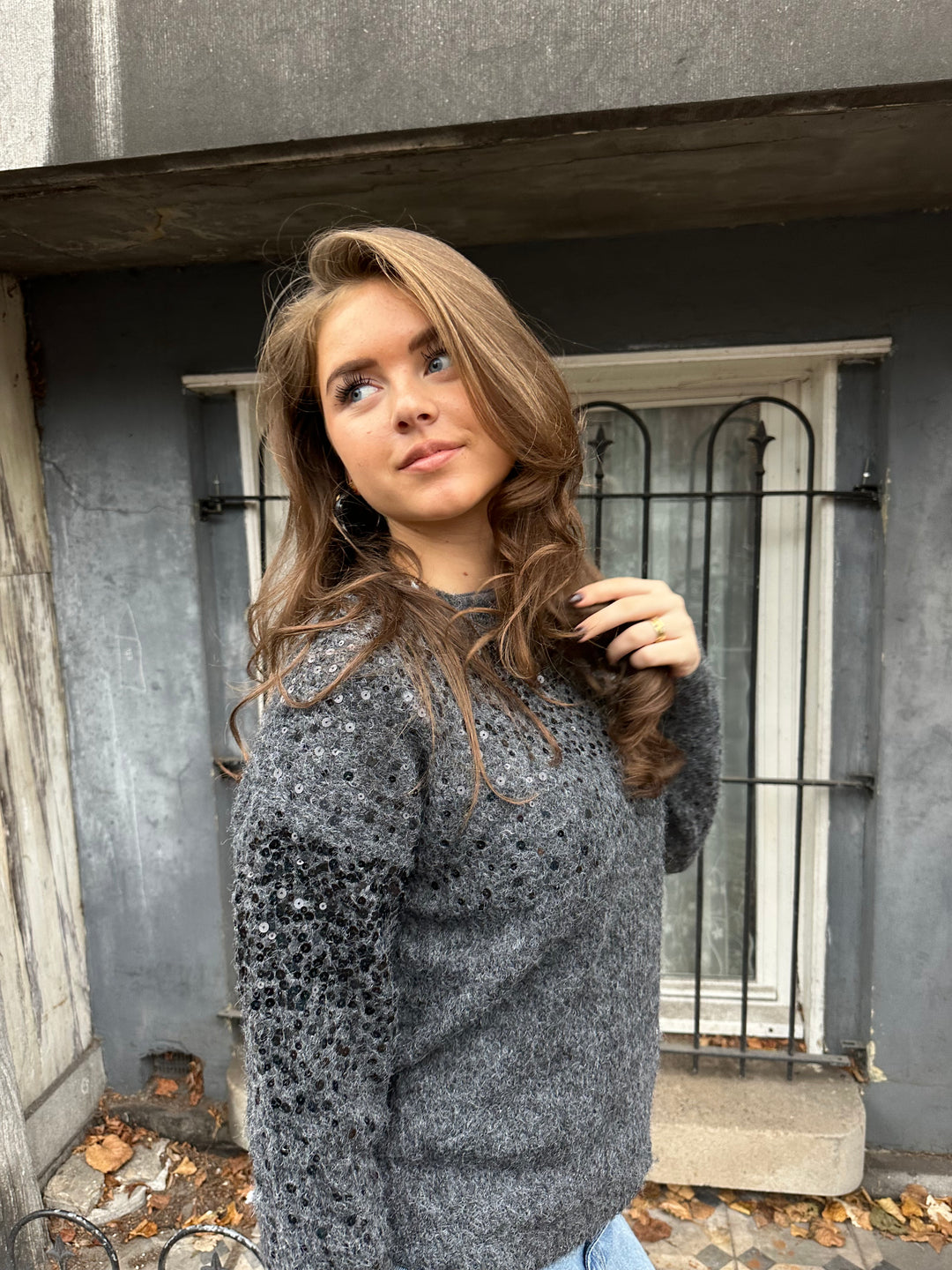 Knitted Sweater Sequin