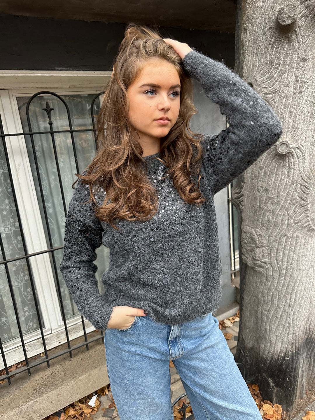 Knitted Sweater Sequin