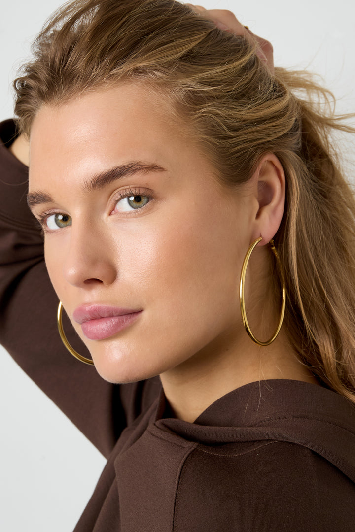 Bold Circle Hoops