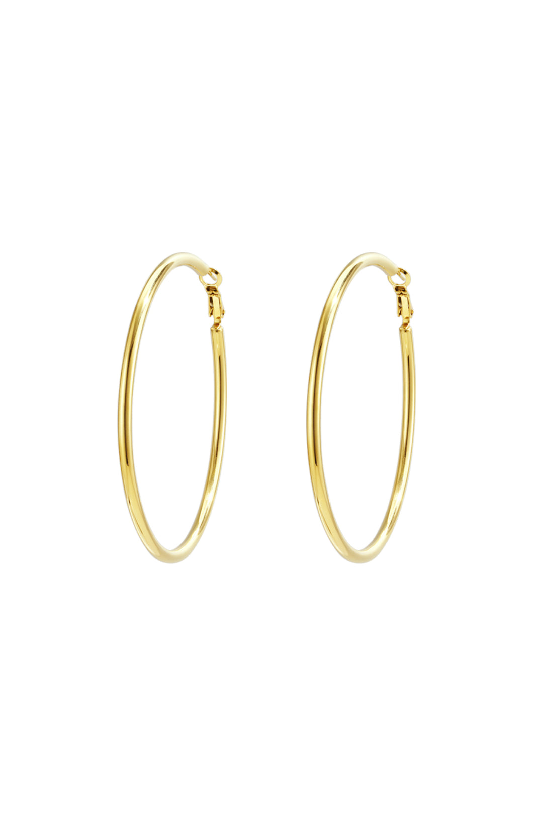 Bold Circle Hoops