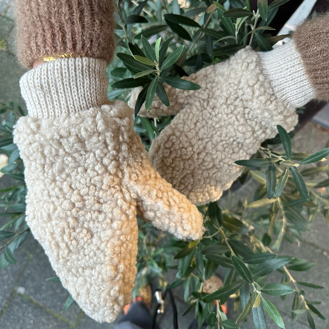 Teddy Winter Gloves