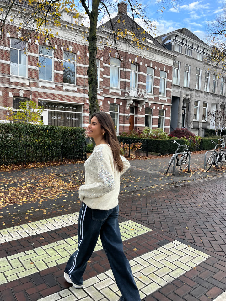 Knitted Sweater Sequin